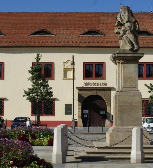 פנסיון Villa Letná