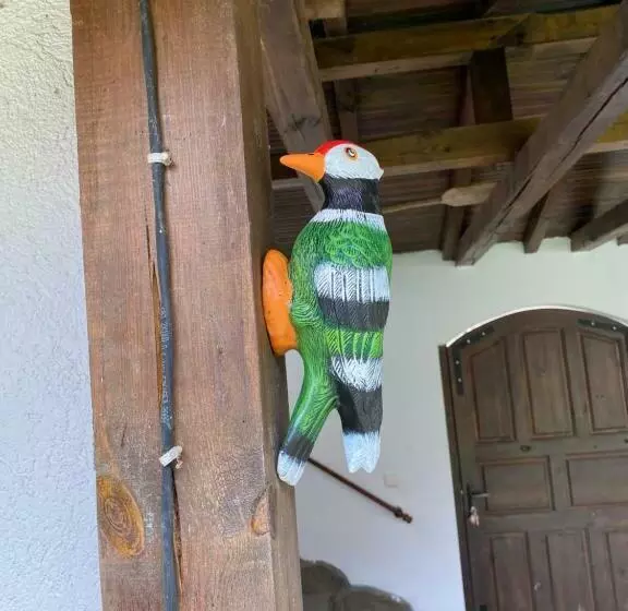 ペンション Yovkovata Kyshta