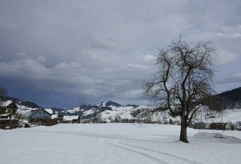 צימר Bnb Chezlise