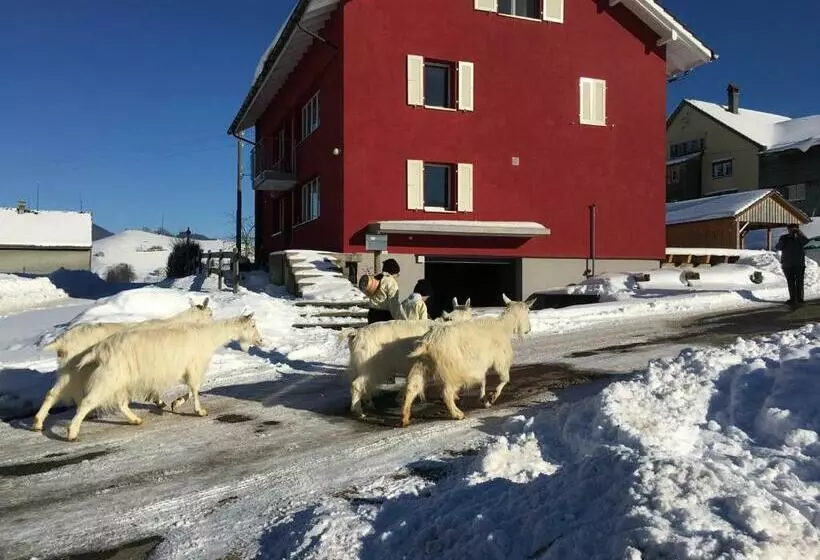 Aamiaismajoitus (B&B) Bnb Chezlise