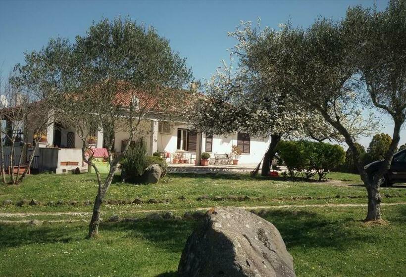 مبيت وإفطار La Nepitella