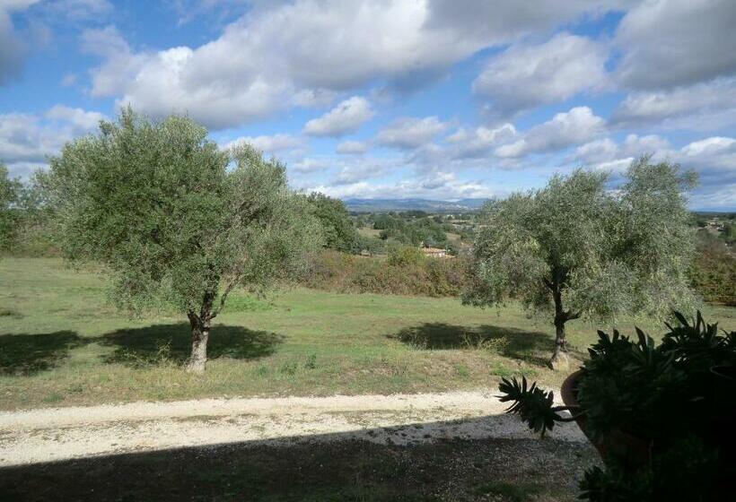 مبيت وإفطار La Nepitella