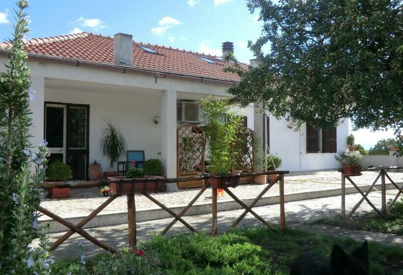 مبيت وإفطار La Nepitella