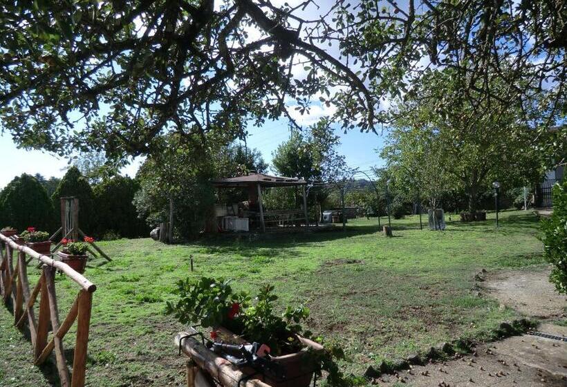 مبيت وإفطار La Nepitella