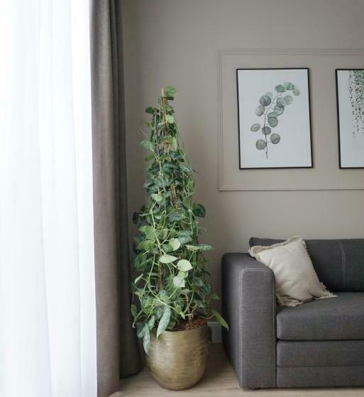 Hotel Astoria The Hague