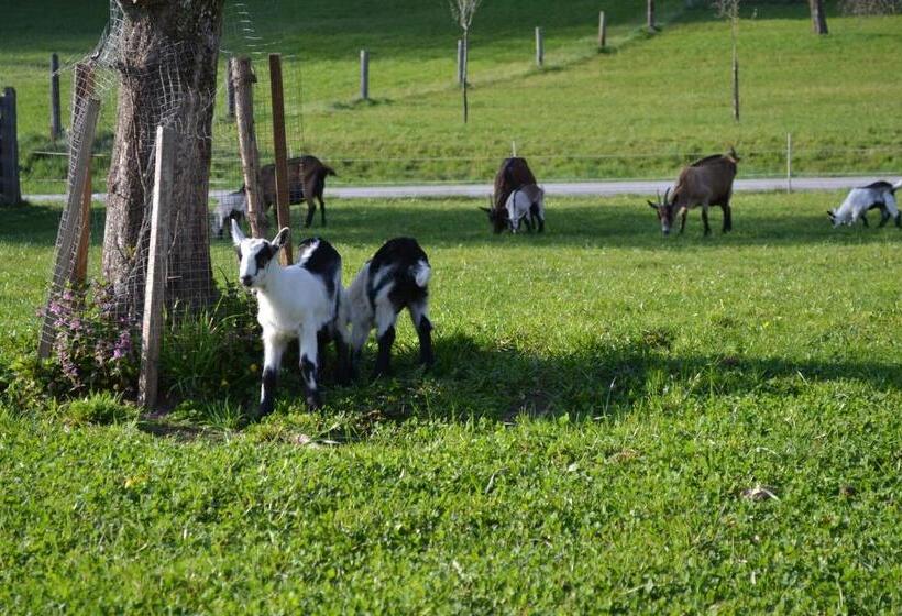 Отель Bauernhof Kaspergut