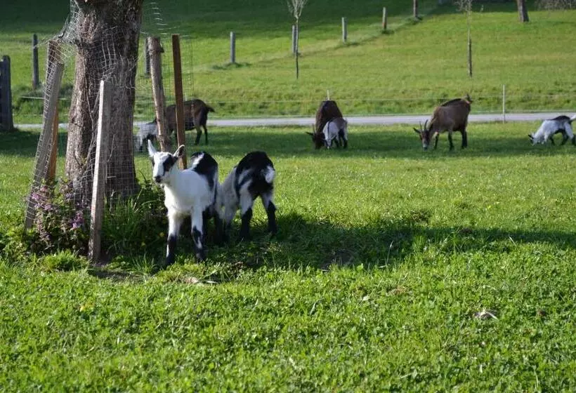 Hotelli Bauernhof Kaspergut