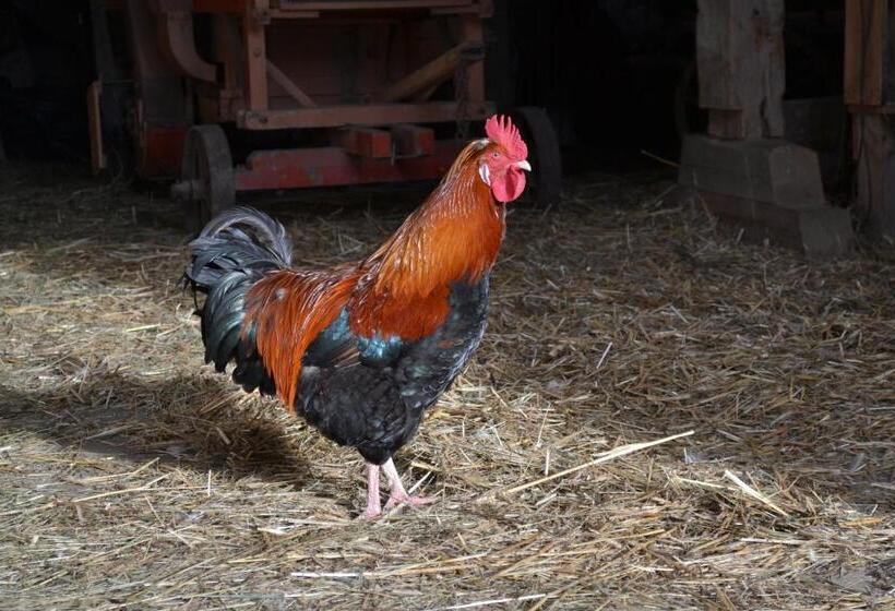 Hotell Bauernhof Kaspergut