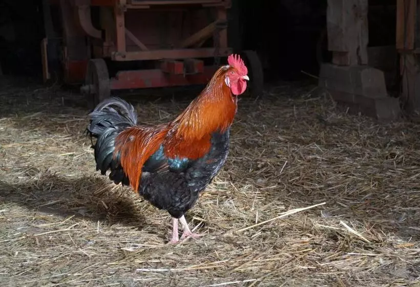 Hotelli Bauernhof Kaspergut