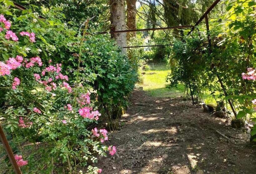 膳宿费 Chateau Ol Puech