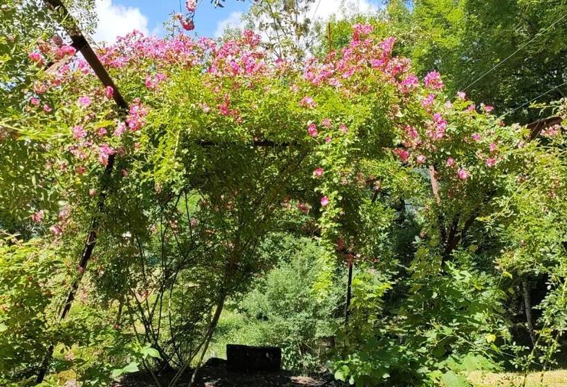 膳宿费 Chateau Ol Puech