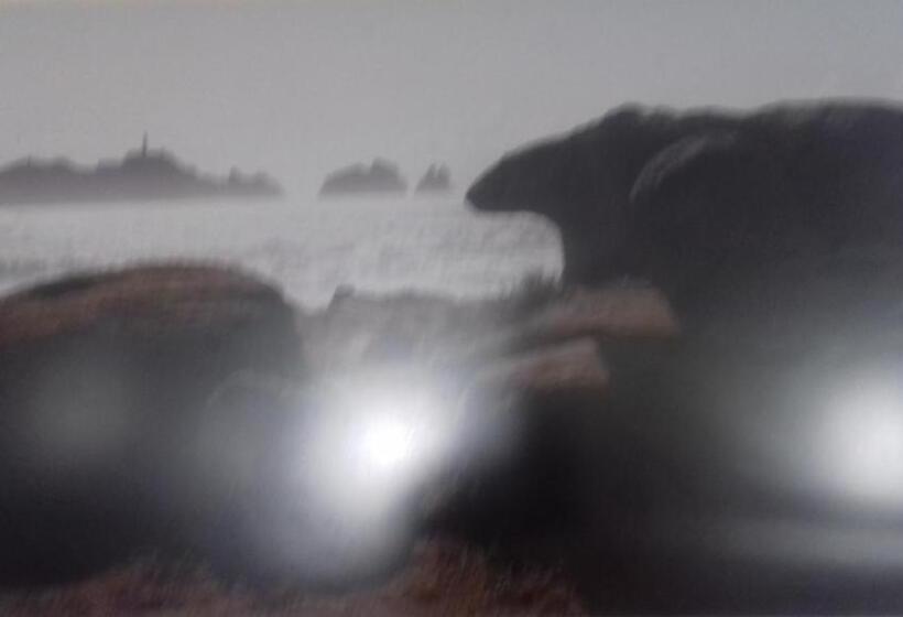 Pension Catro Ventos