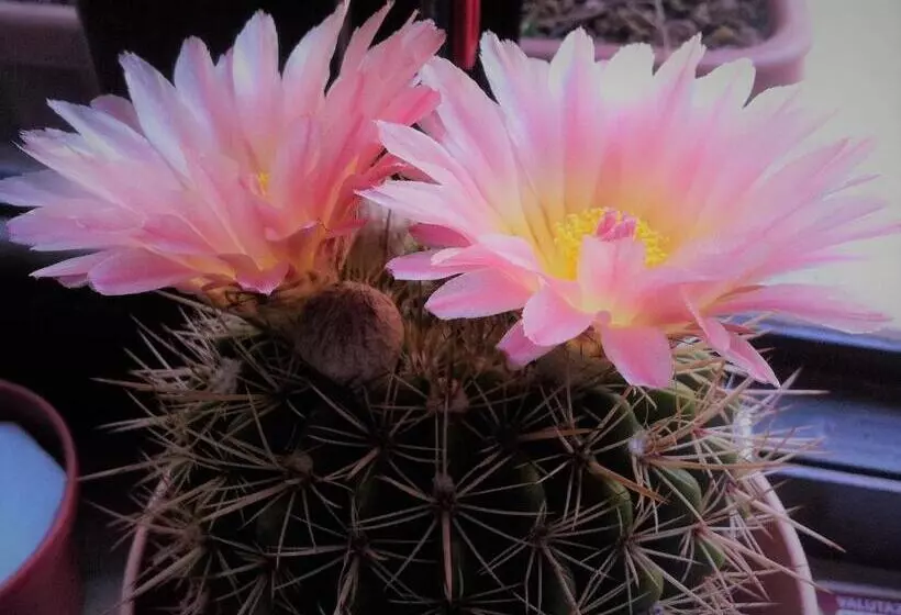 B & B Luoghi Antichi