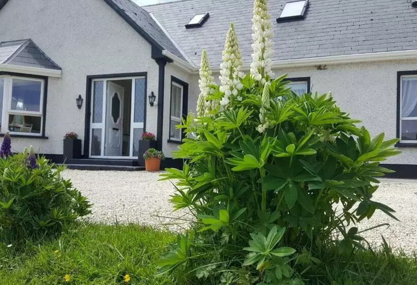 ベッドアンドブレックファースト An Charraig Ban On The Wild Atlantic Way F94wt02