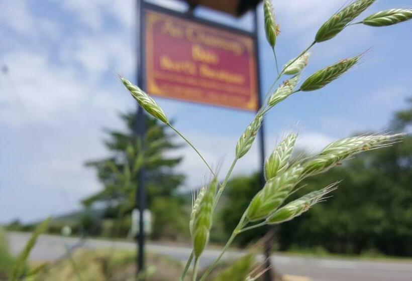 مبيت وإفطار An Charraig Ban On The Wild Atlantic Way F94wt02