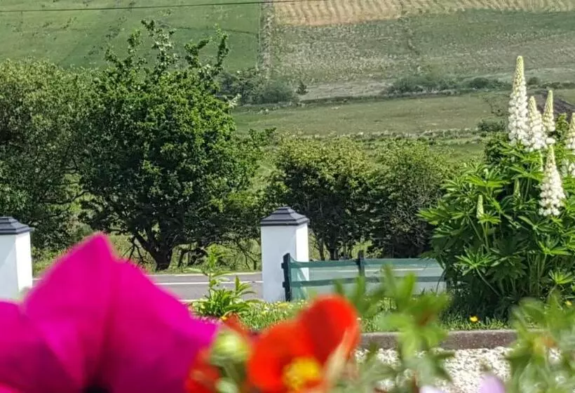 ベッドアンドブレックファースト An Charraig Ban On The Wild Atlantic Way F94wt02