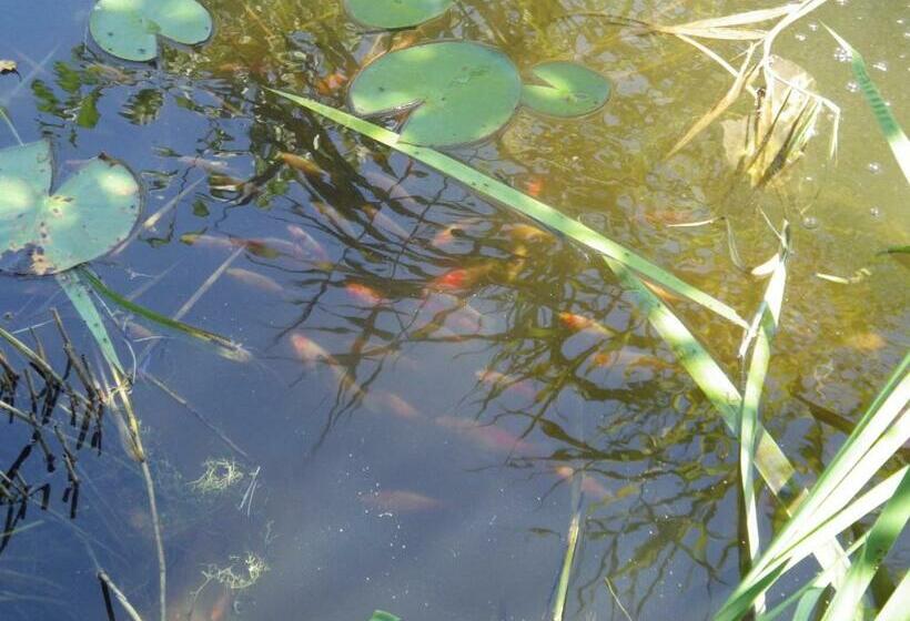 تختخواب و صبحانه Chez Gus