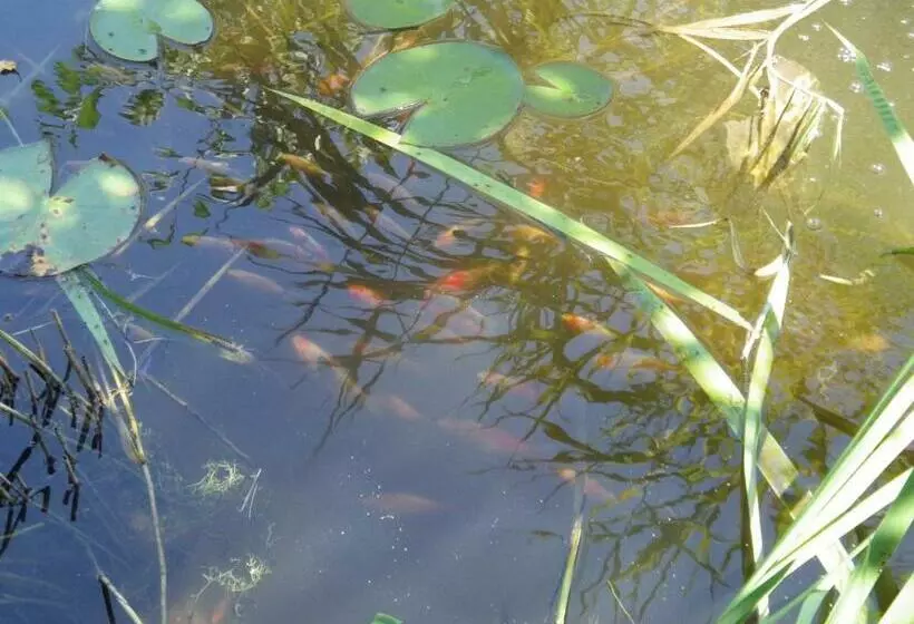 Aamiaismajoitus (B&B) Chez Gus