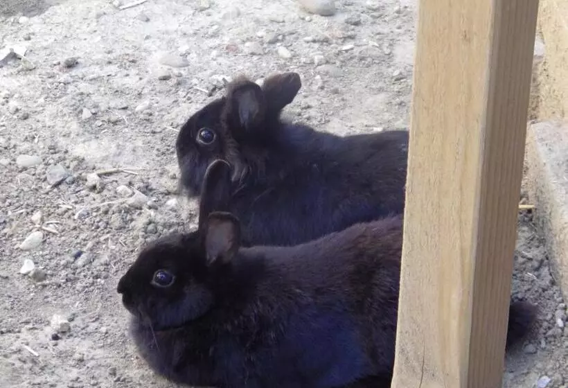 Aamiaismajoitus (B&B) Chez Gus