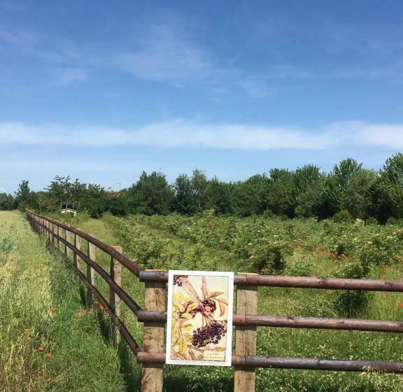 مبيت وإفطار La Suzannerie