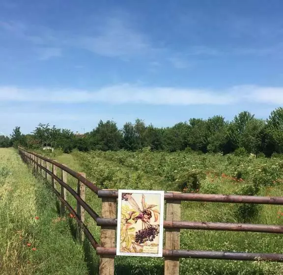 Aamiaismajoitus (B&B) La Suzannerie