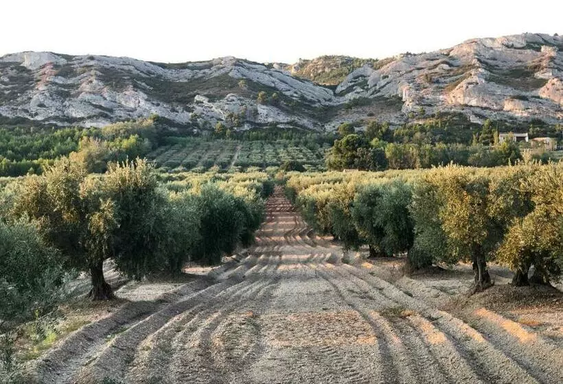 Aamiaismajoitus (B&B) Merci Papa Merci Maman