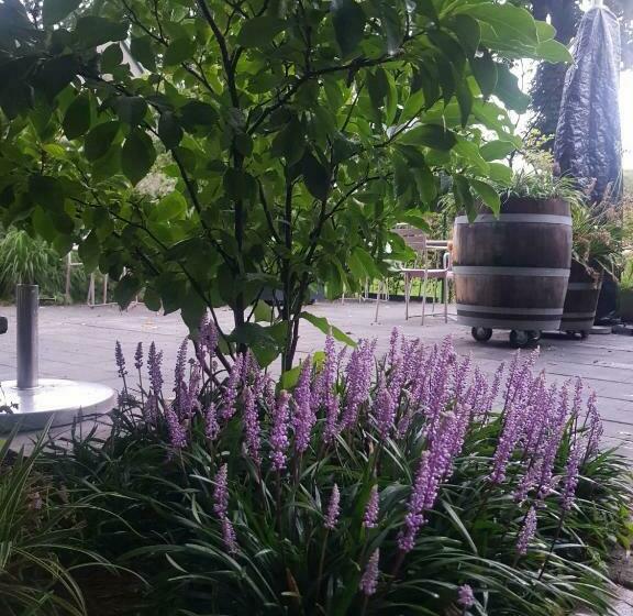 Aamiaismajoitus (B&B) Theetuin Onder De Pannen