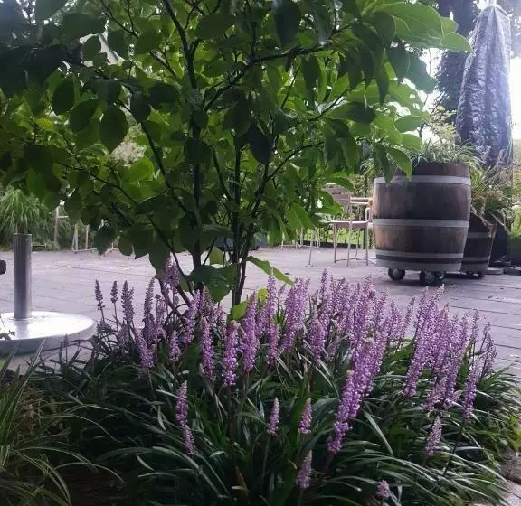 Aamiaismajoitus (B&B) Theetuin Onder De Pannen