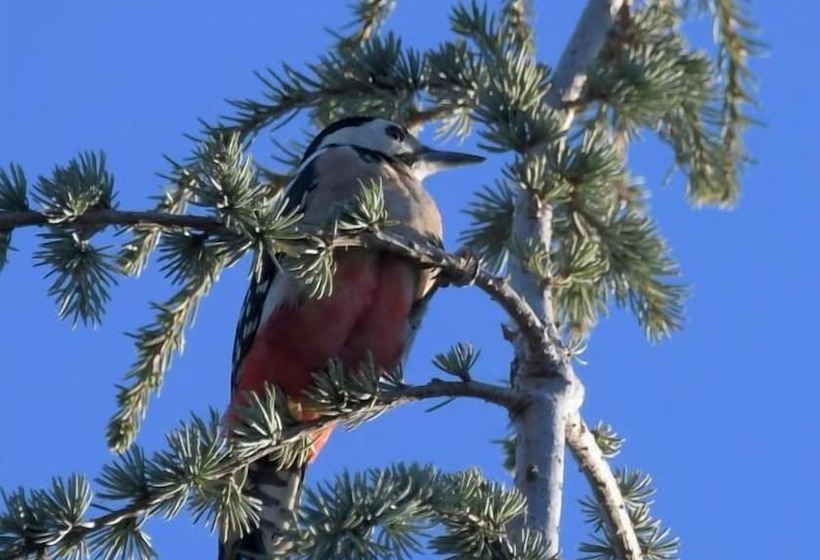 ホテル El Estanco