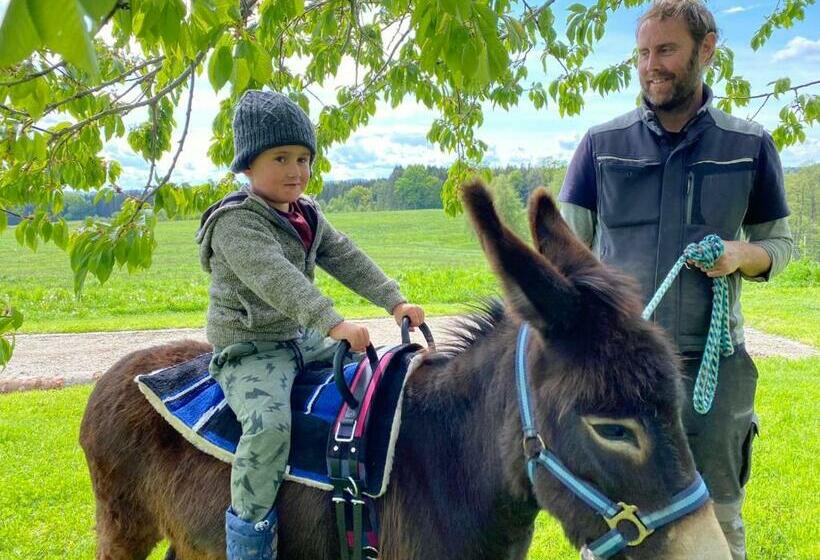 בית מלון כפרי Wastlbauer