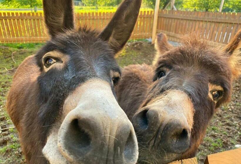 בית מלון כפרי Wastlbauer