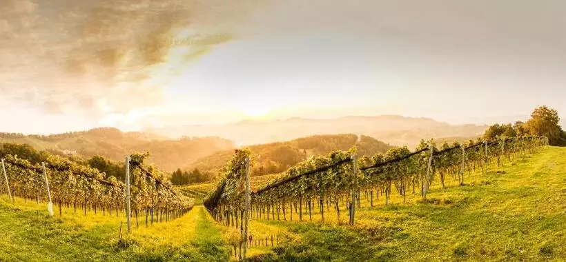 ホテル Weingut Wohlfühlzimmer Adam Lieleg