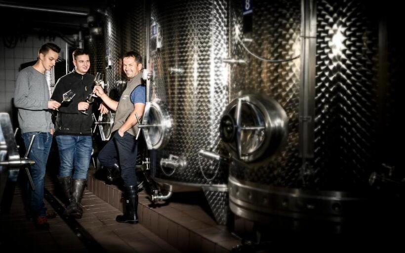 호텔 Weingut Wohlfühlzimmer Adam Lieleg