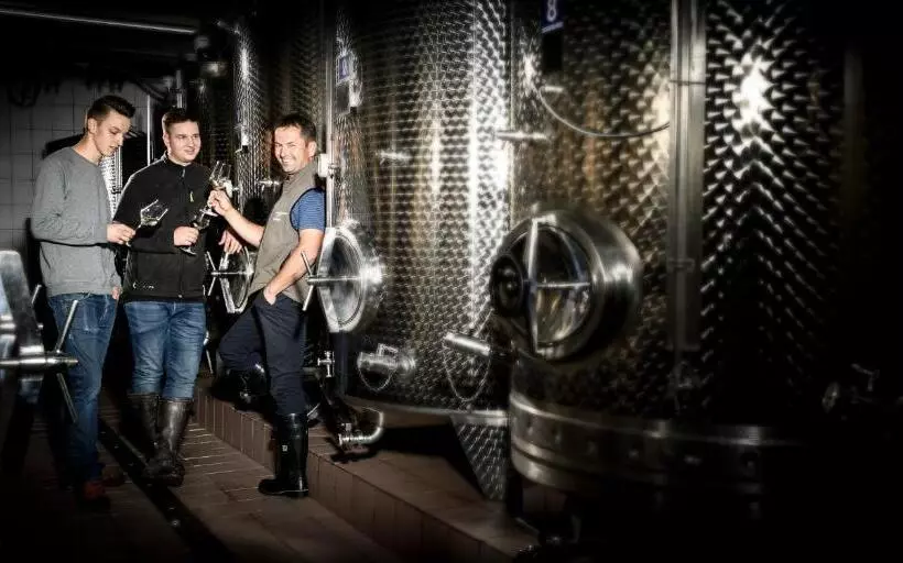 ホテル Weingut Wohlfühlzimmer Adam Lieleg