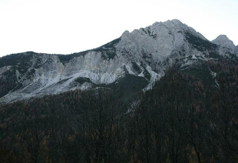 פנסיון Dolomiti House