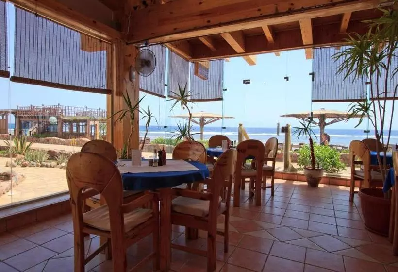 هتل Blue Beach Club