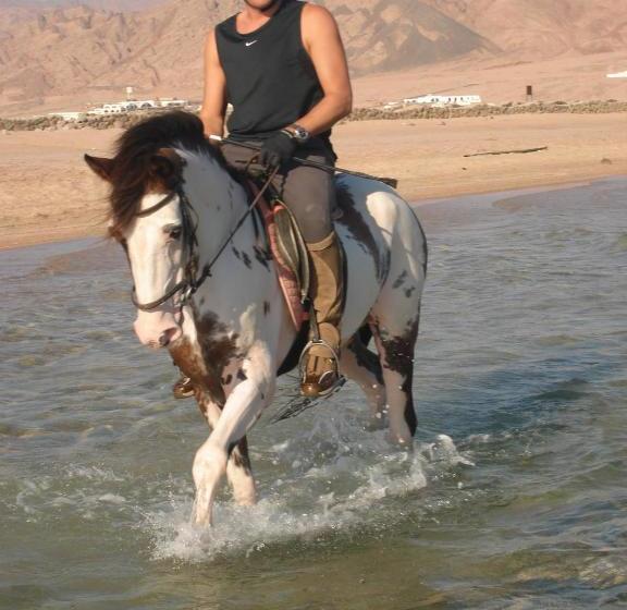 هتل Blue Beach Club