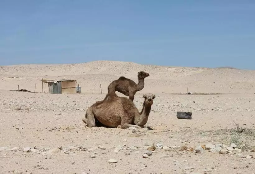 هتل Blue Beach Club