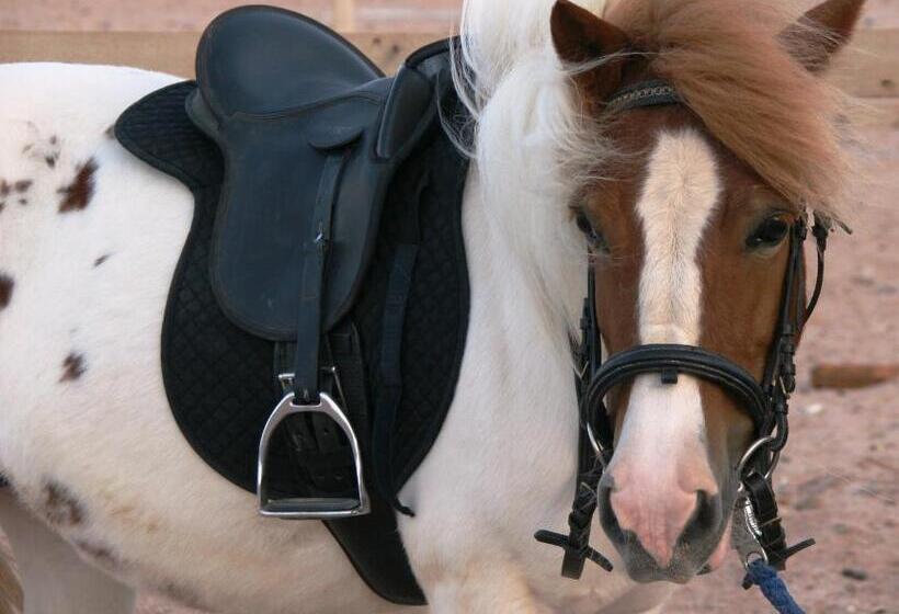 هتل Blue Beach Club