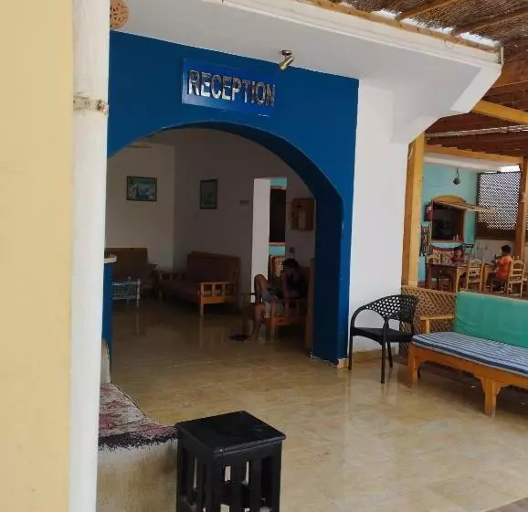 هتل Jowhara