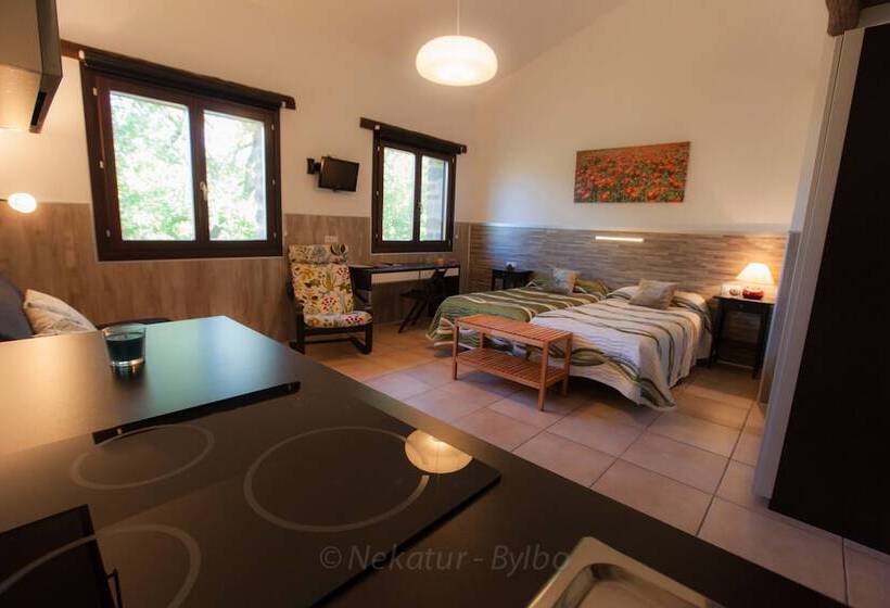 בית מלון כפרי Caserio Gorosarri