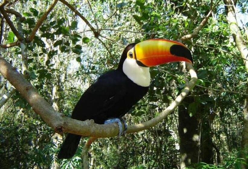 هتل Uiara Amazon Resort