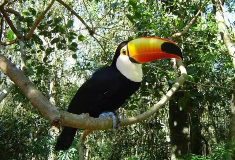 هتل Uiara Amazon Resort