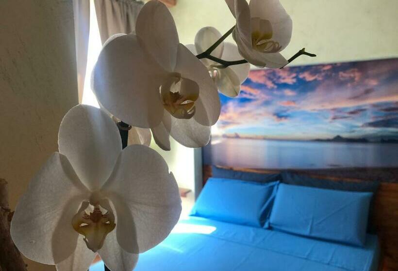 تختخواب و صبحانه Dream & Relax Villa Fiore