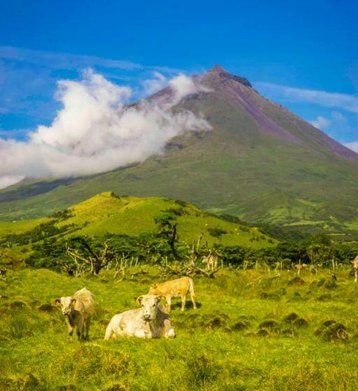 Hotel Adega Ninho Da Cagarra