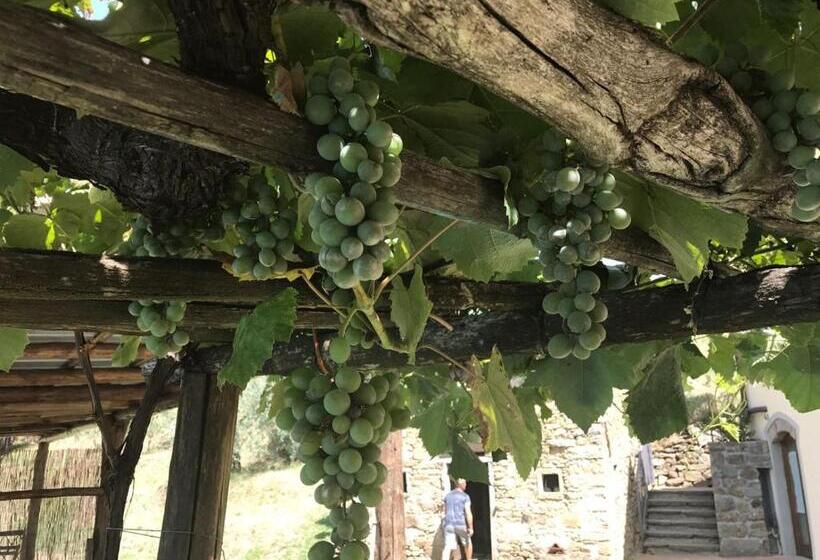 酒店 Agriturismo Da Nonna Argia