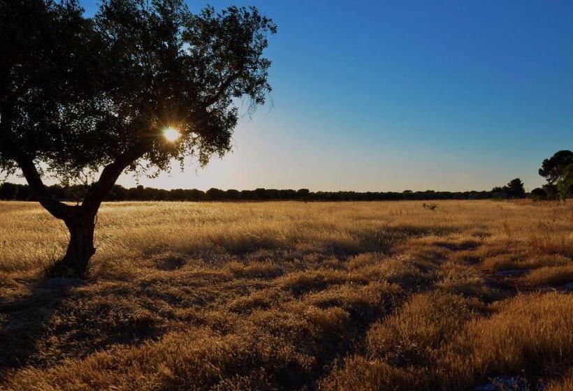 בית מלון כפרי Su Sattisceddu