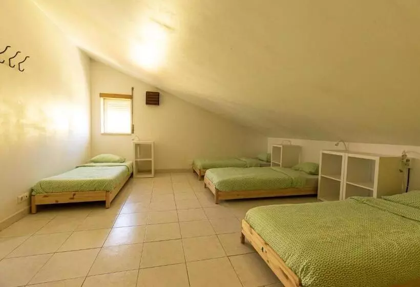 هاستل Pineapple Surf House