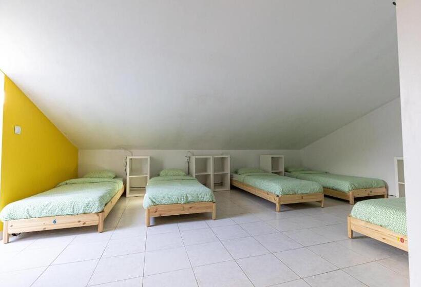 هاستل Pineapple Surf House