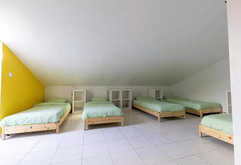 هاستل Pineapple Surf House